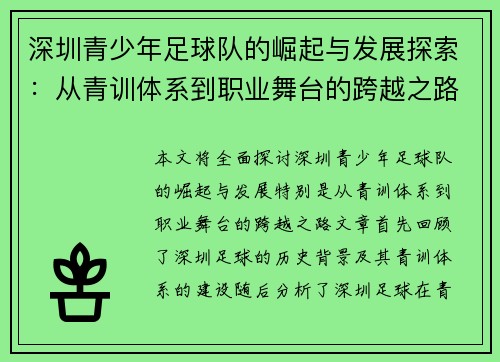 深圳青少年足球队的崛起与发展探索：从青训体系到职业舞台的跨越之路